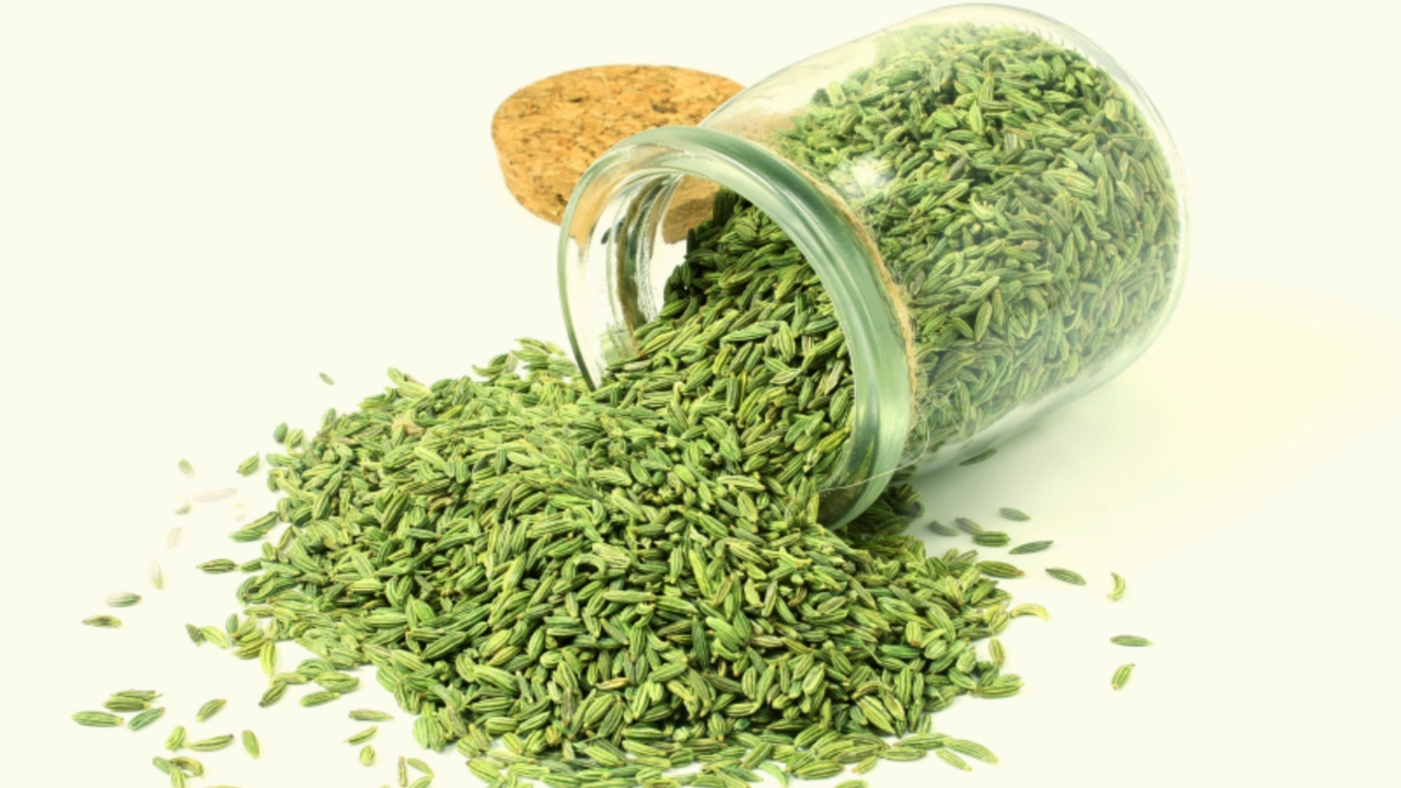 Picsart 23 10 18 10 10 06 341