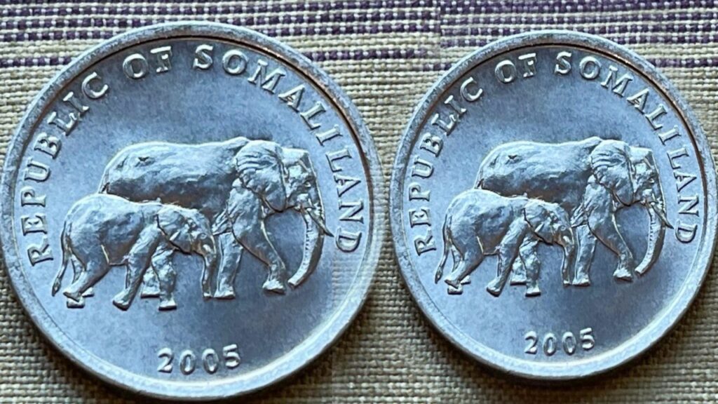 Picsart 23 10 20 00 14 23 447