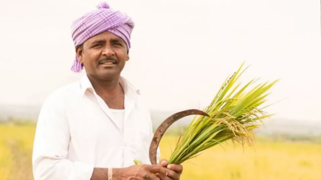 Picsart 23 10 25 20 30 31 985