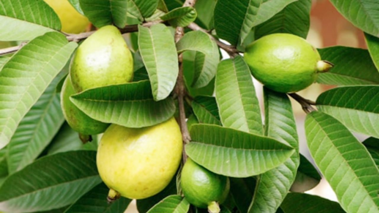 Picsart 23 10 26 00 22 38 455