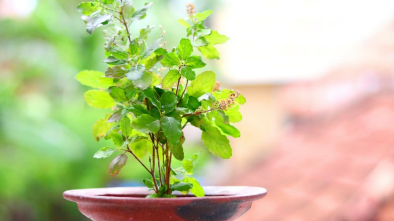 Picsart 23 10 27 01 33 46 895