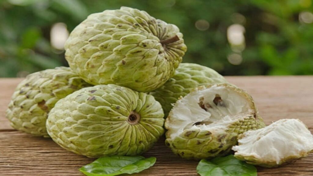 Picsart 23 10 30 09 29 26 555