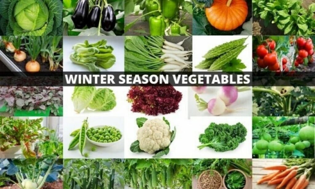 Untitled design 28 1200x720 1