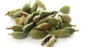 How to grow cardamom