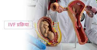 download 43 1 download 43 1