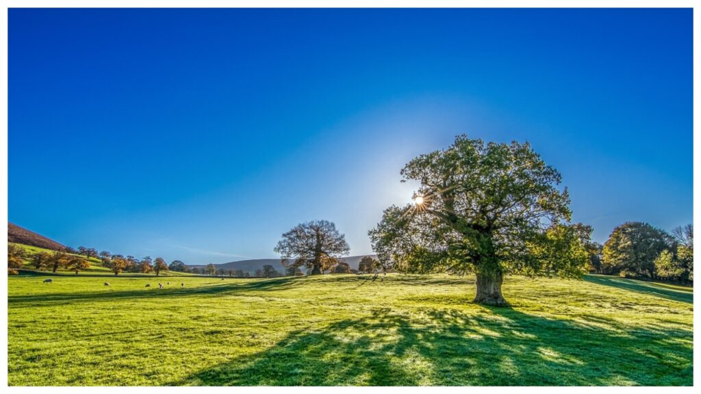 Business Idea 15 Business Idea 15