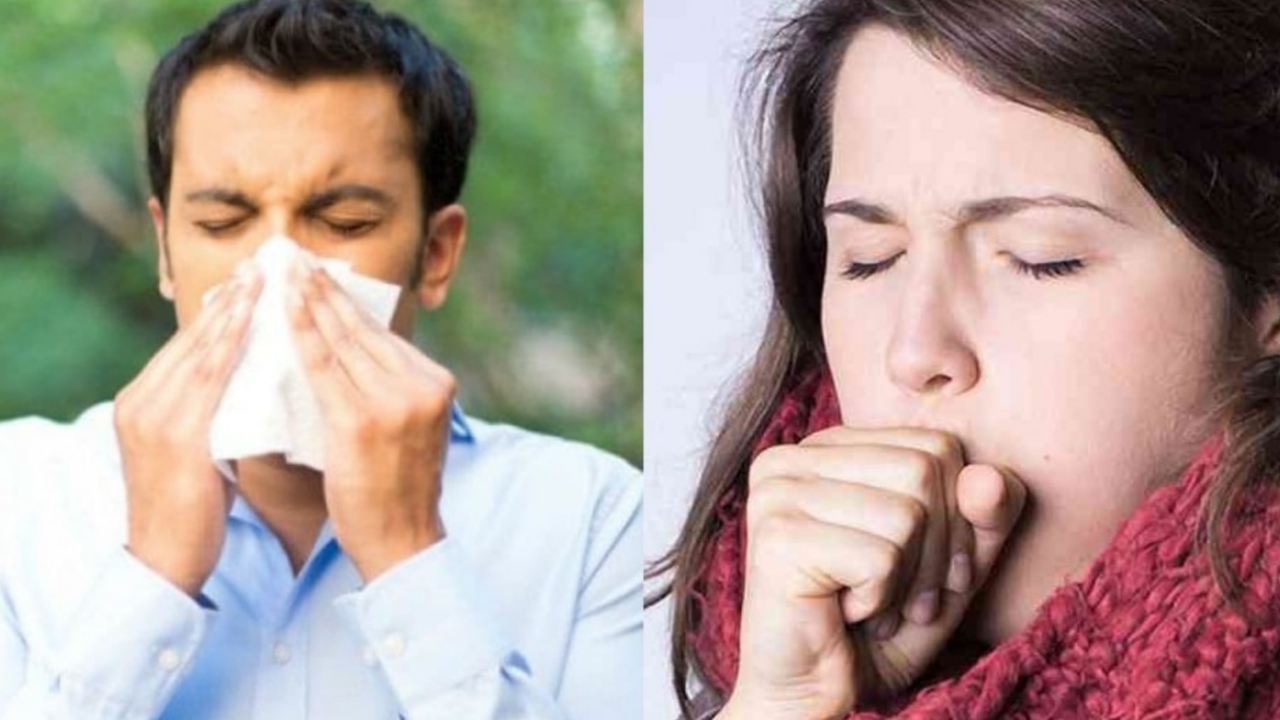 Picsart 23 10 31 23 15 18 716