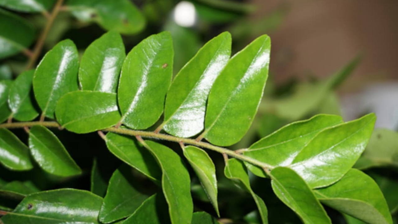 Picsart 23 11 02 21 19 18 797