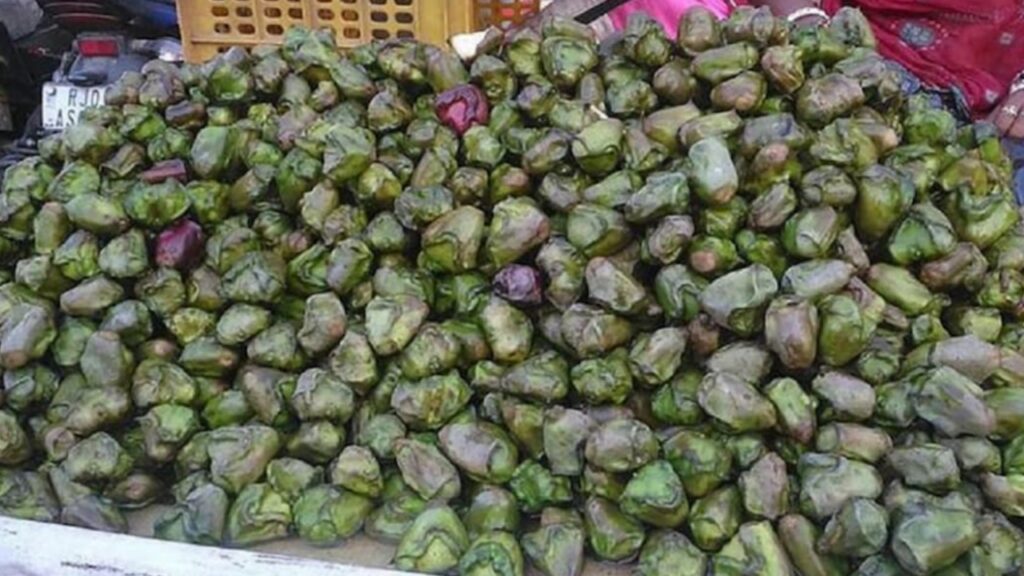 Picsart 23 11 02 23 55 29 899