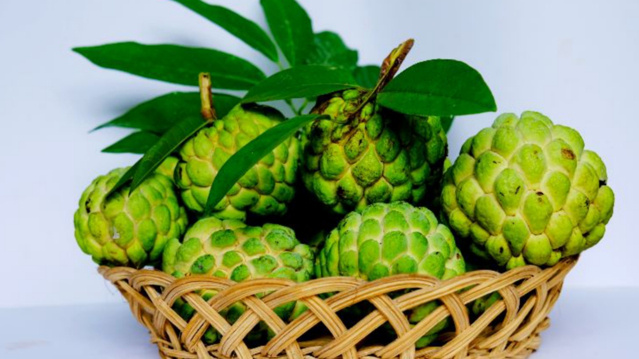 Picsart 23 11 08 11 47 46 439