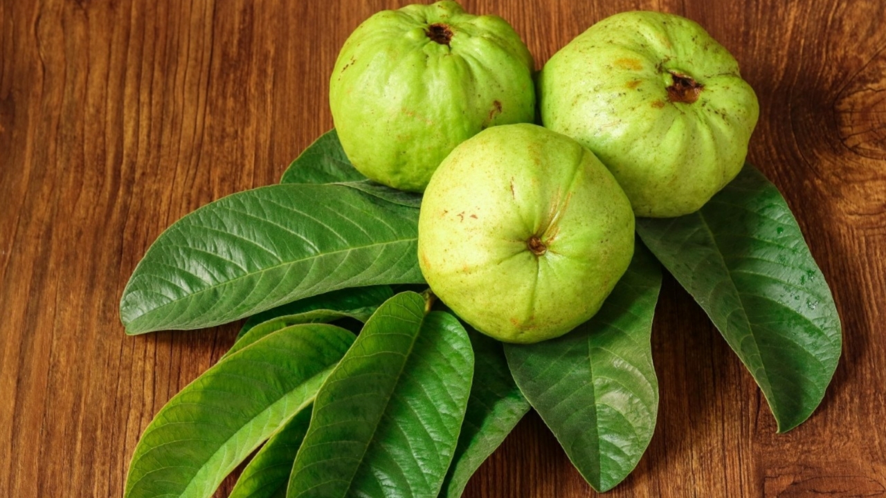 Picsart 23 11 11 11 50 01 148