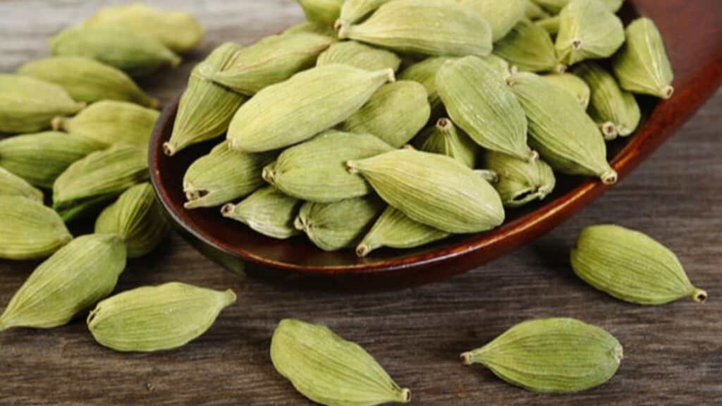 Picsart 23 11 16 00 02 00 799