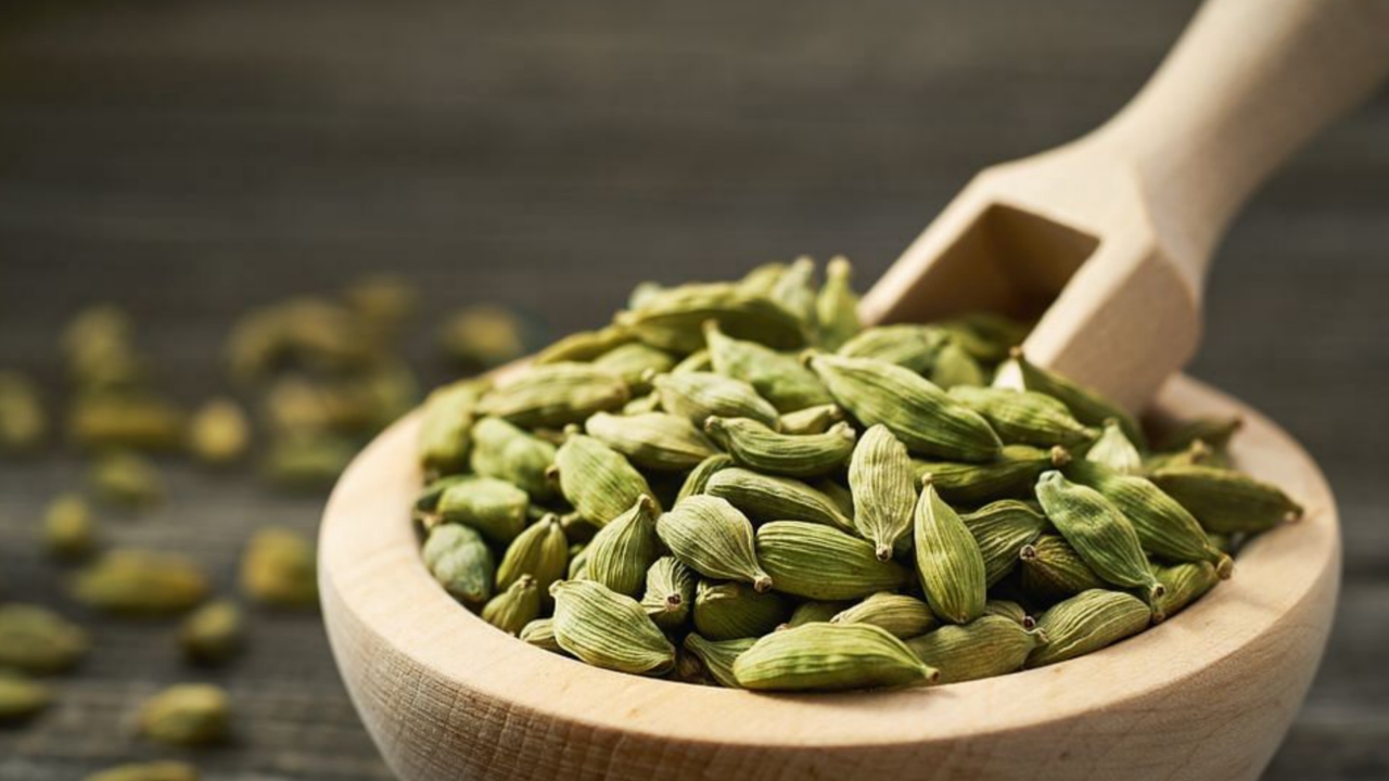 Picsart 23 11 17 00 41 47 105