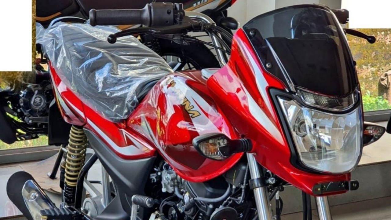 Picsart 23 11 18 13 23 58 783