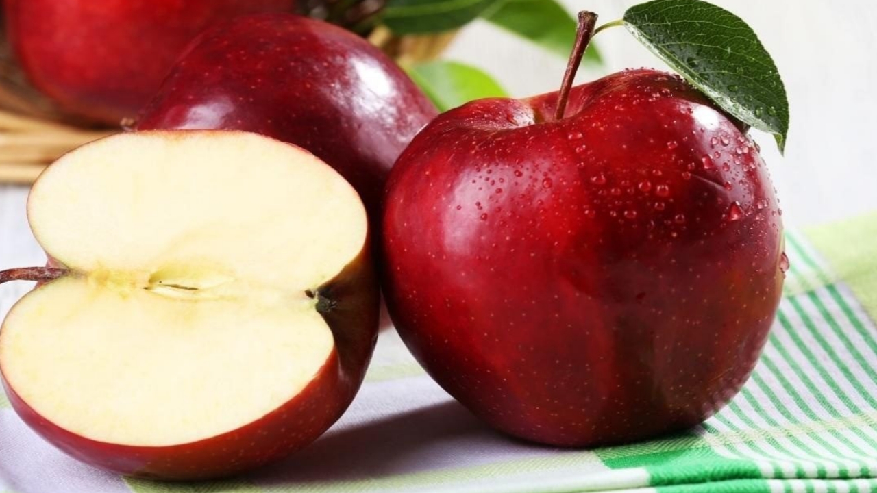 Picsart 23 11 20 00 16 45 615