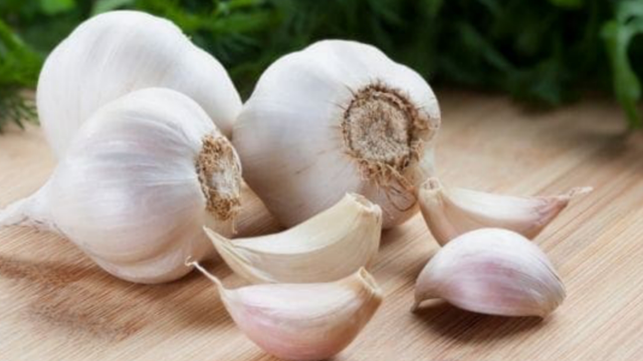 Picsart 23 11 21 00 22 45 681