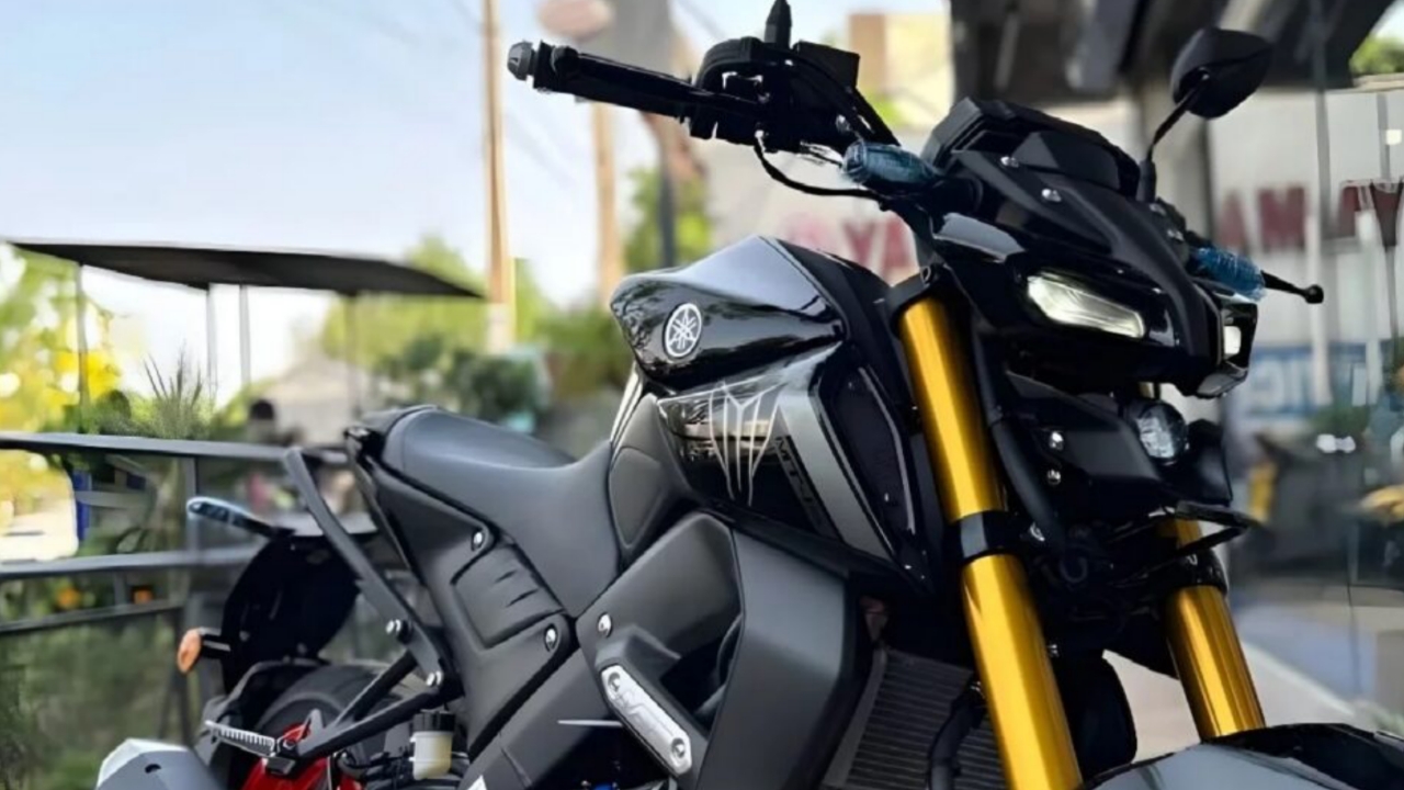 Picsart 23 11 21 15 37 56 136