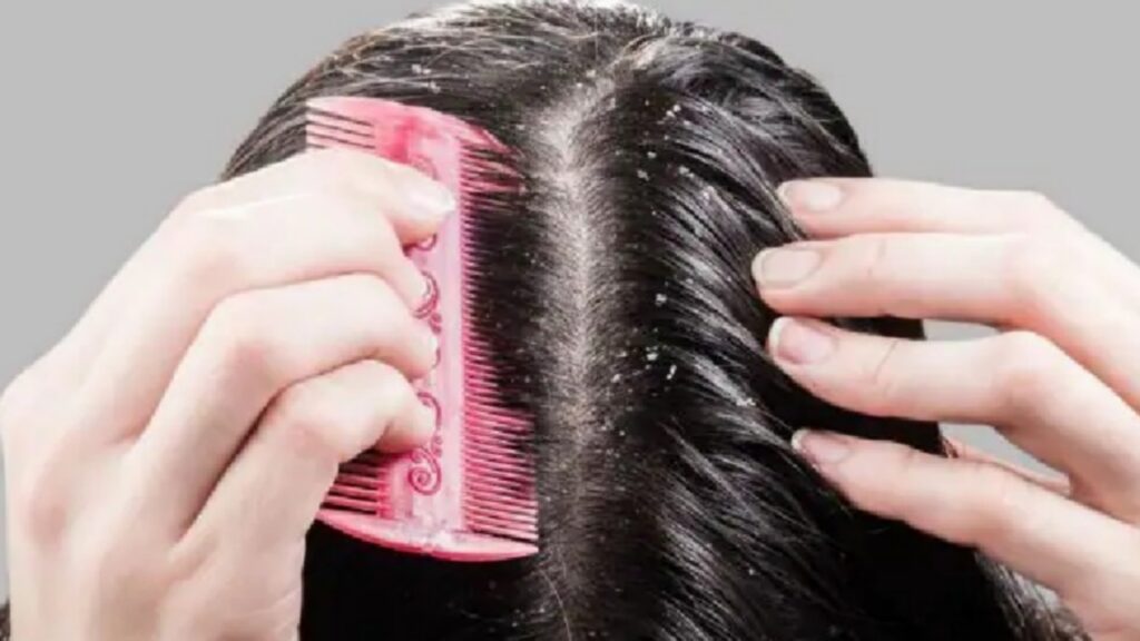 Picsart 23 11 28 08 19 06 748