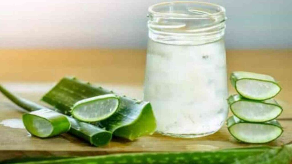 Picsart 23 11 29 08 17 11 548