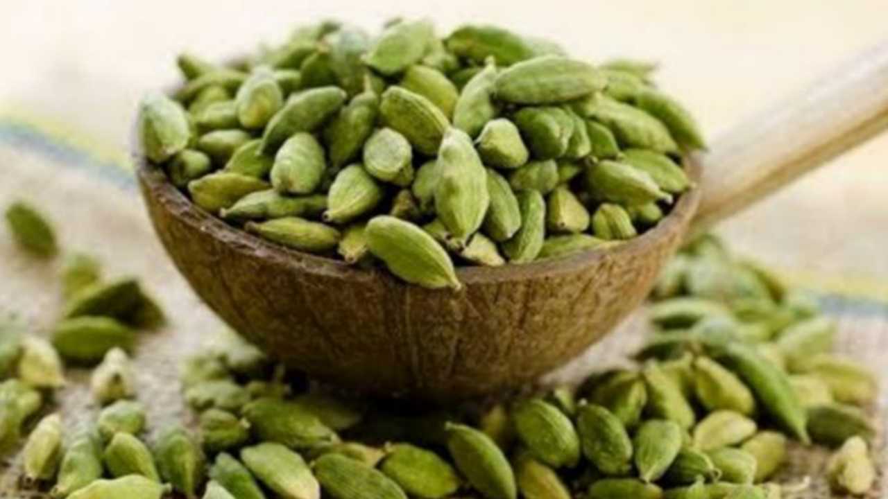 Picsart 23 11 30 08 47 17 320