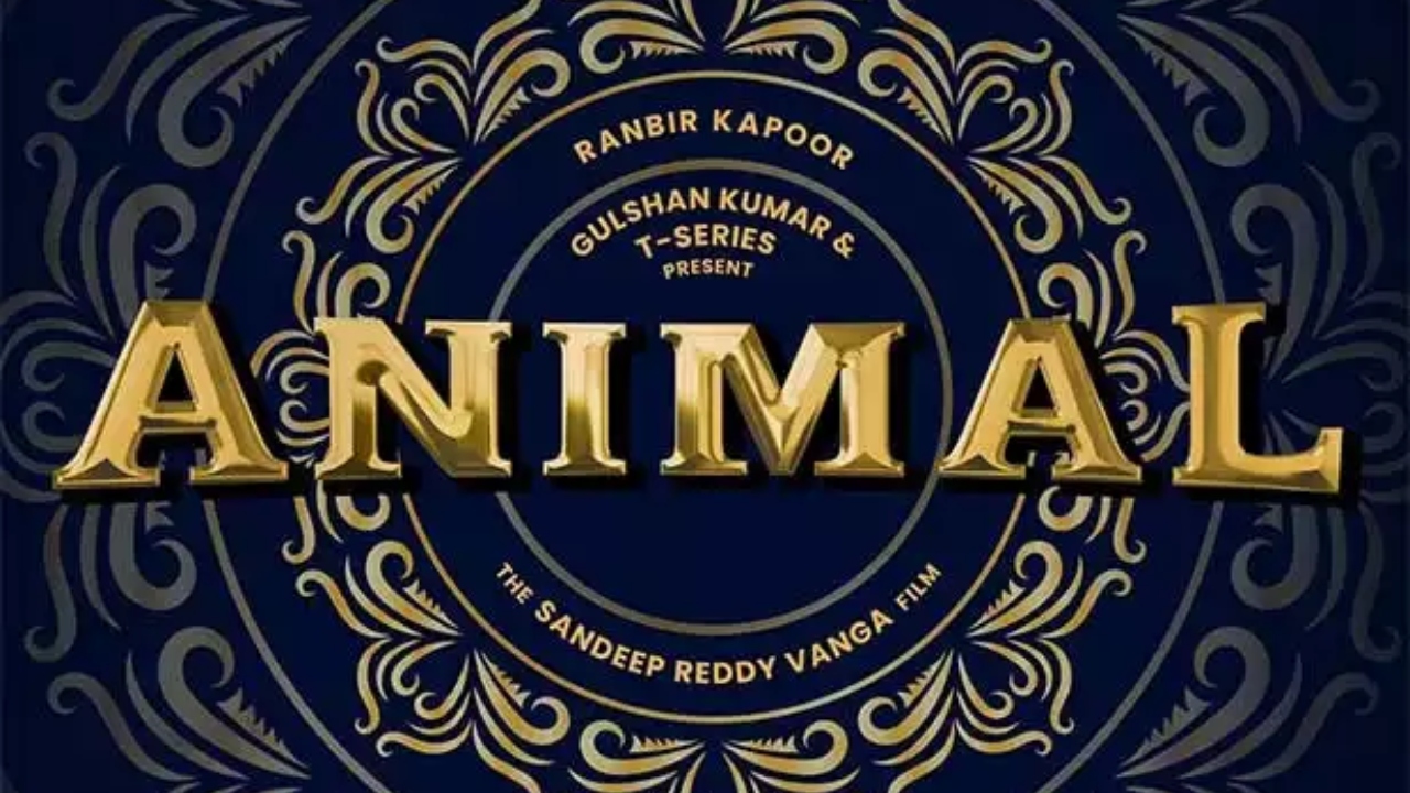 Animal Movie Latest Collection