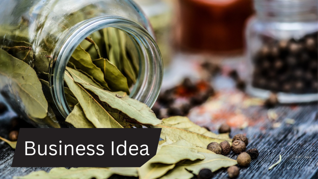Business Idea 2