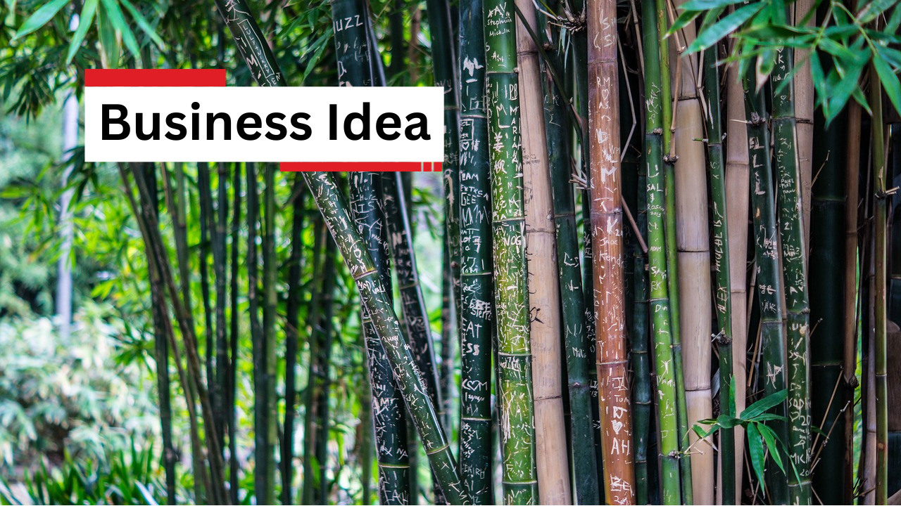 Business Idea 8