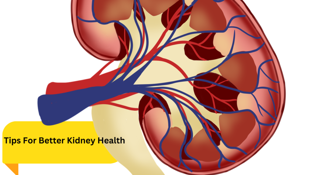 Food For Kidney Health