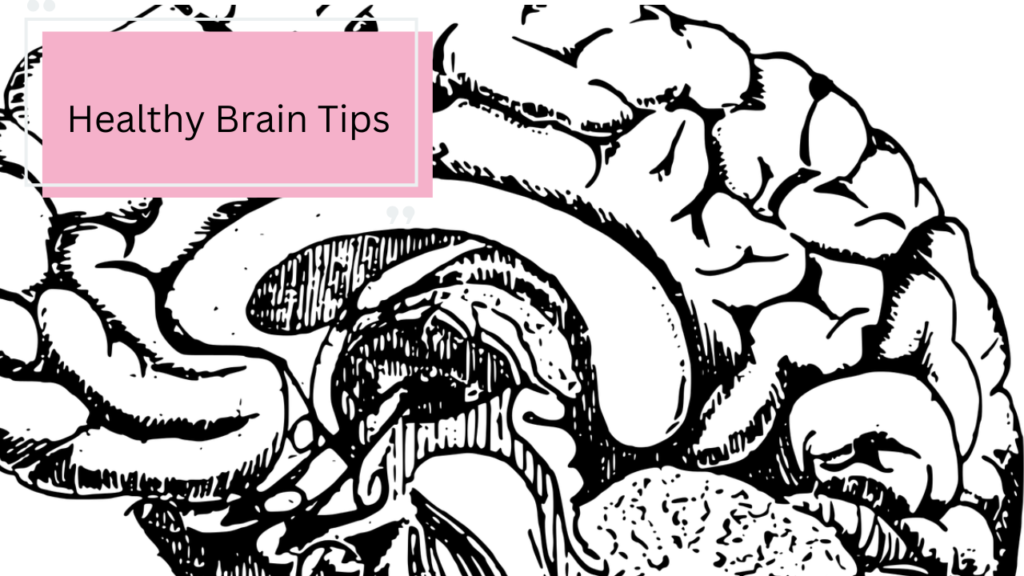 Healthy Brain