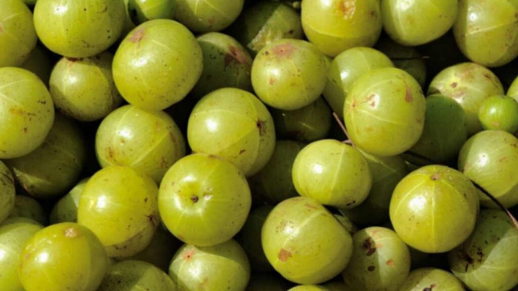 Picsart 23 12 01 08 20 17 104 Picsart 23 12 01 08 20 17 104