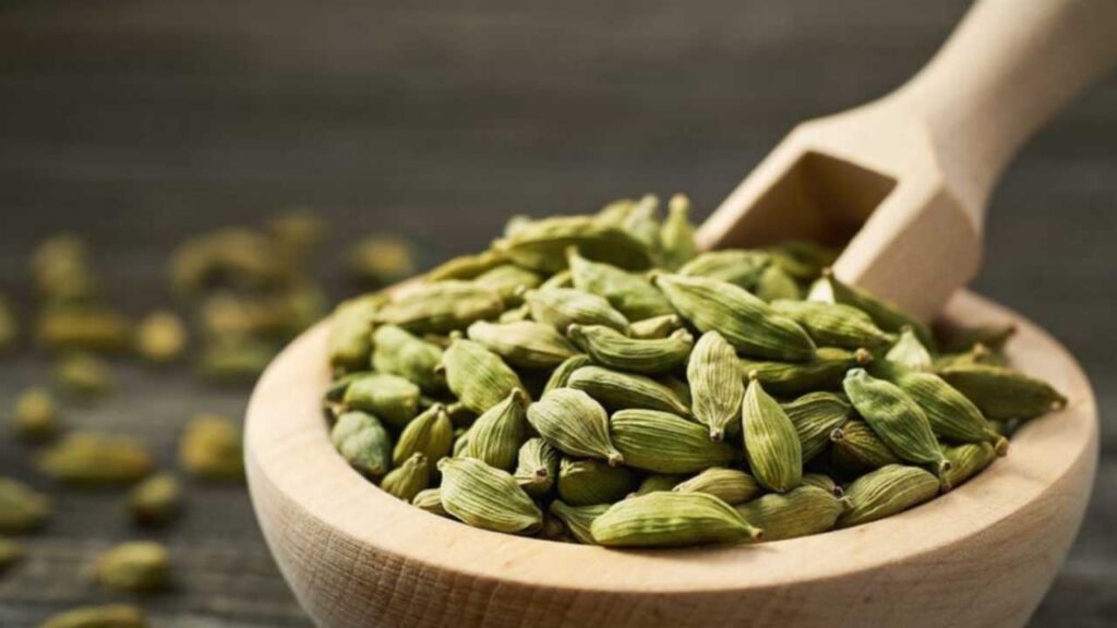 Picsart 23 12 01 08 47 04 726