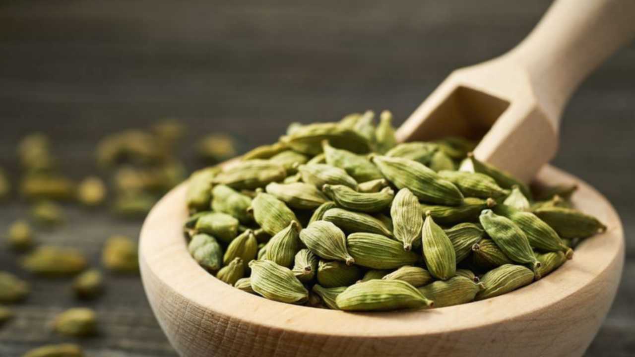 Picsart 23 12 01 08 47 04 726