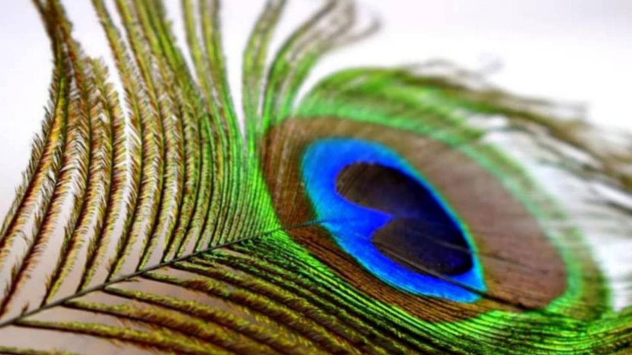 Picsart 23 12 02 10 55 06 058