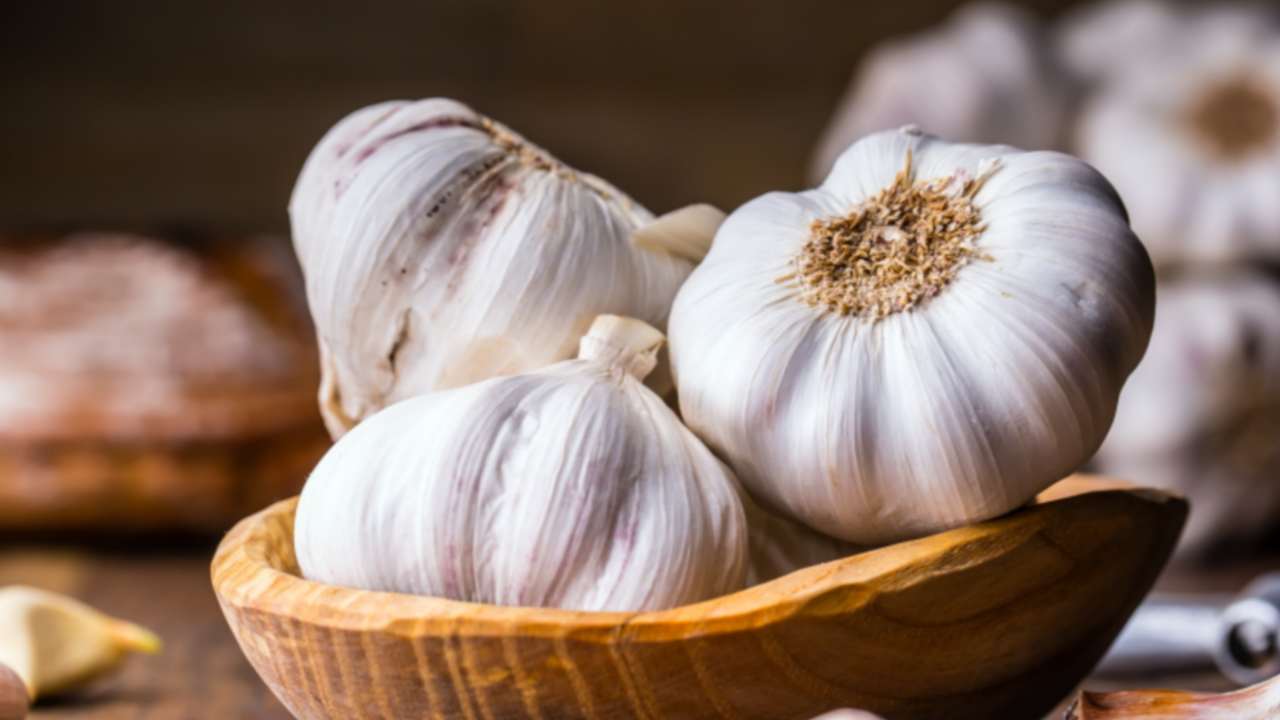 Picsart 23 12 03 22 42 22 983