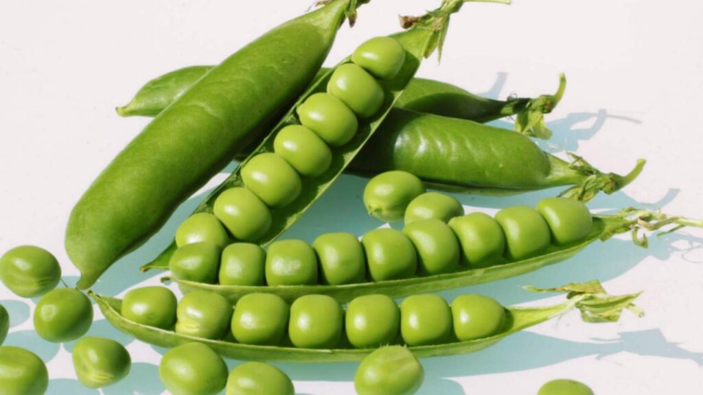 Picsart 23 12 03 23 04 53 412 Picsart 23 12 03 23 04 53 412