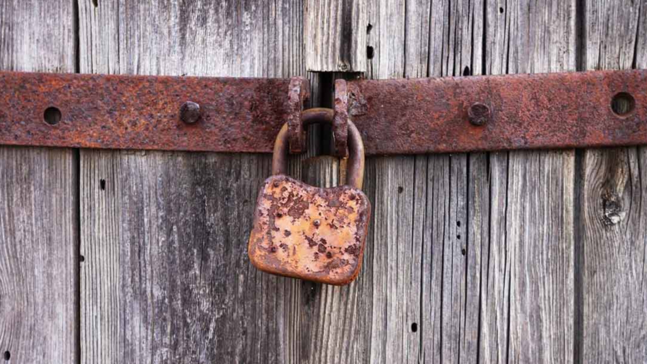 Picsart 23 12 05 08 33 12 930