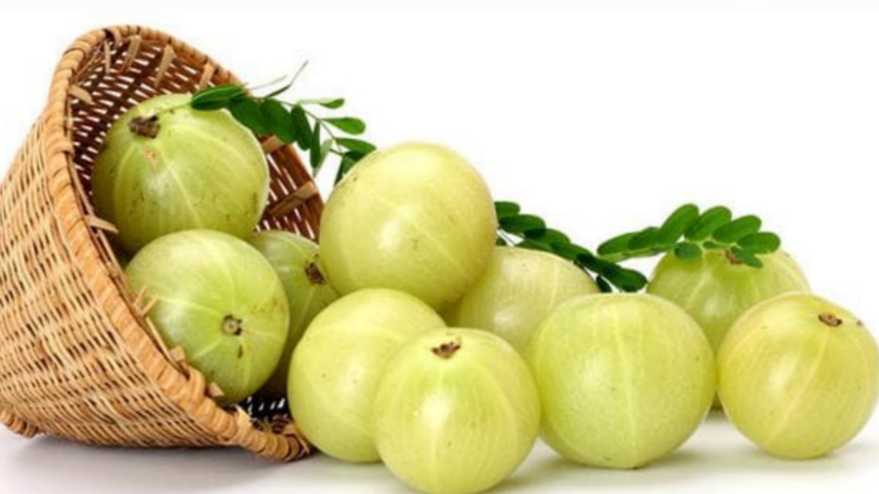 Picsart 23 12 08 09 02 40 713