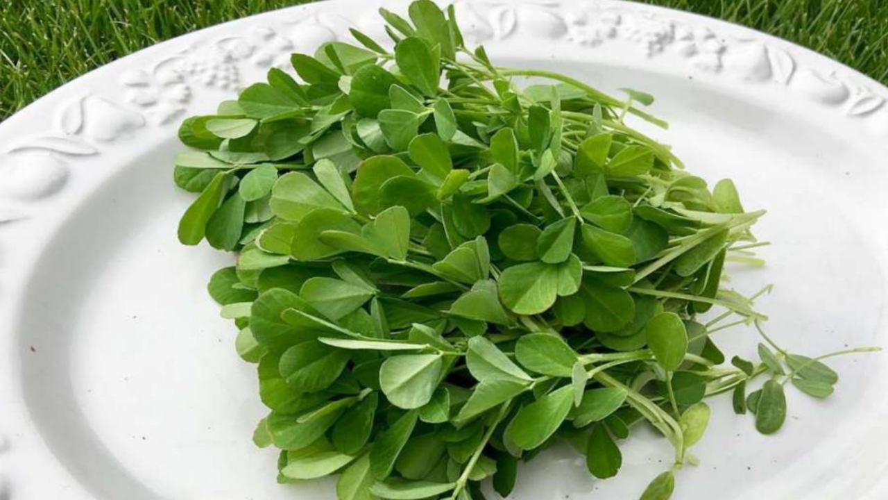 Picsart 23 12 08 09 13 46 445