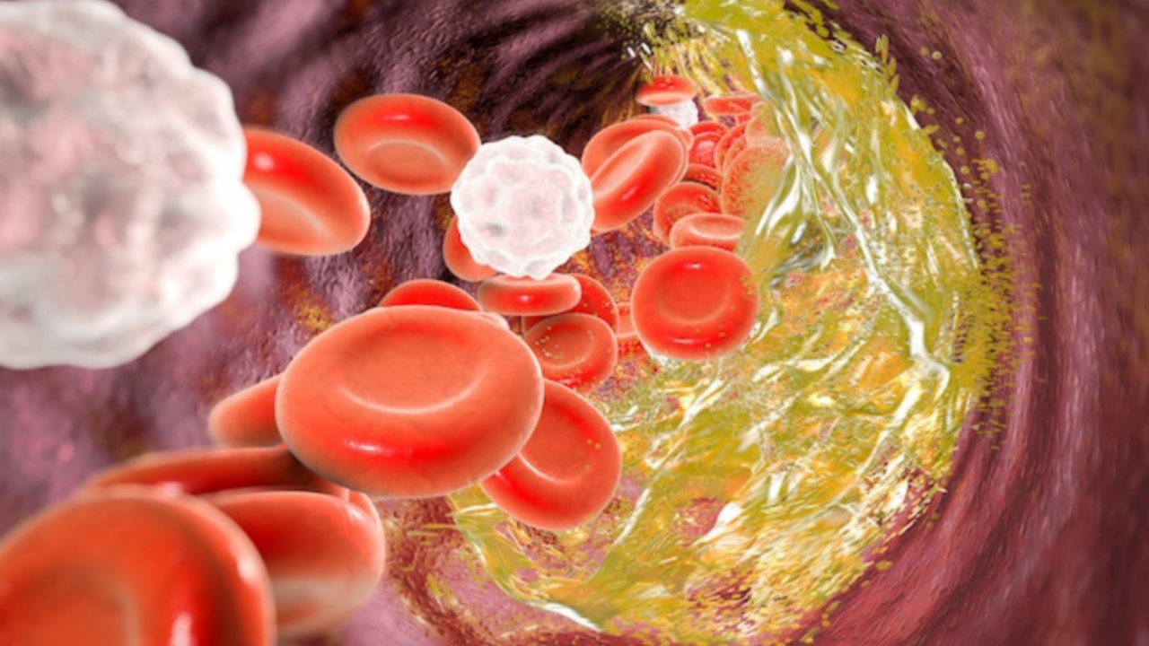 Picsart 23 12 08 09 22 42 650