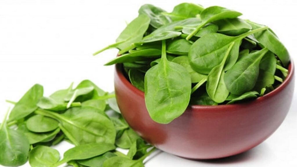 Picsart 23 12 09 10 14 11 938 Picsart 23 12 09 10 14 11 938