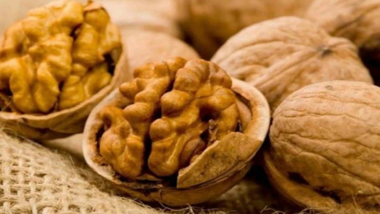 Picsart 23 12 09 11 22 34 185