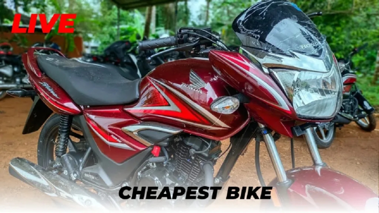 Picsart 23 12 11 13 13 26 155