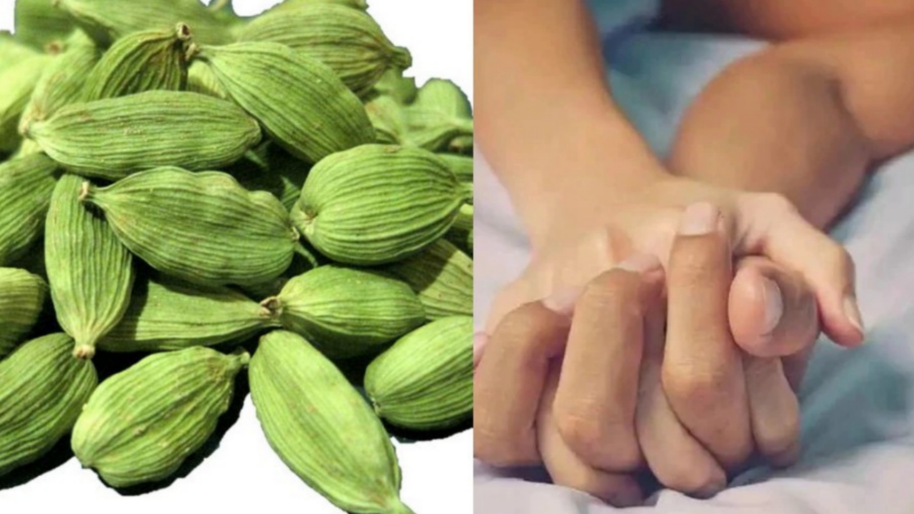 Picsart 23 12 13 11 13 58 540