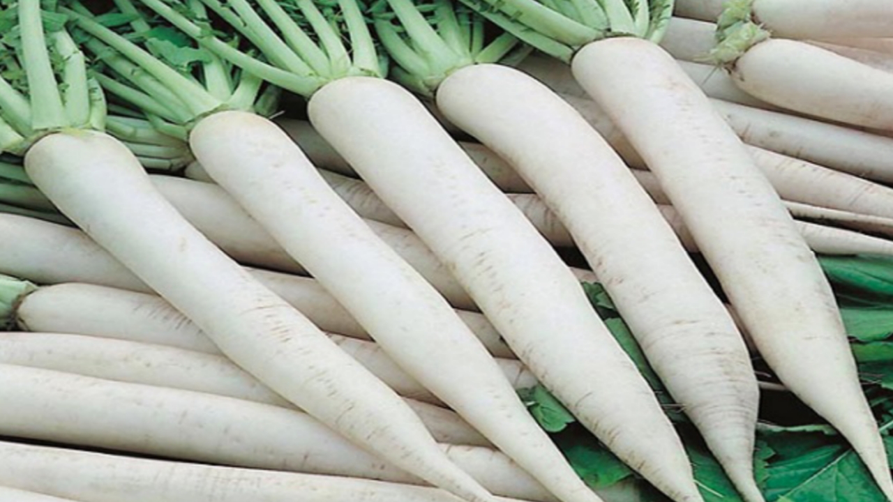 Picsart 23 12 13 12 06 29 716