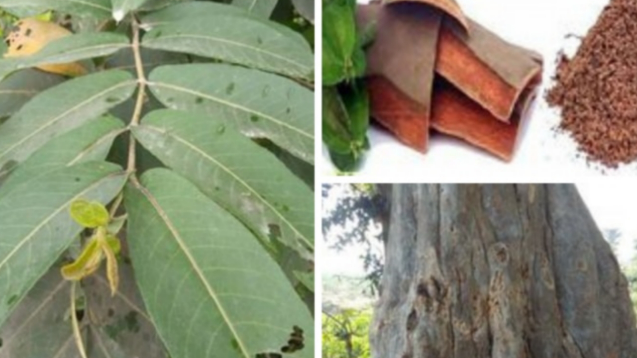 Picsart 23 12 13 13 42 14 472