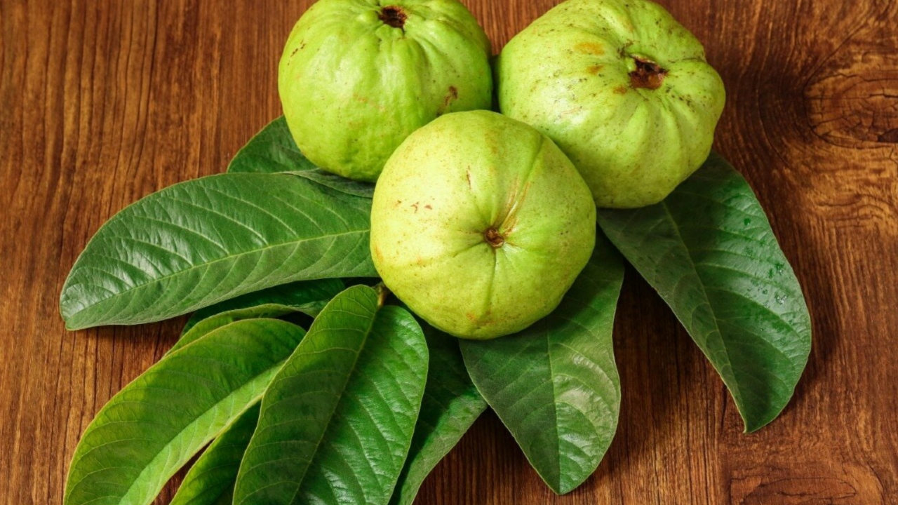 Picsart 23 12 13 14 25 39 084