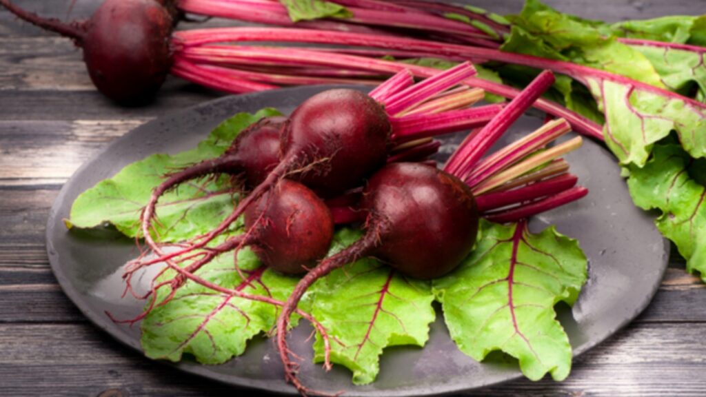 Picsart 23 12 15 08 52 58 181