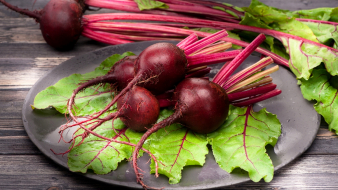 Picsart 23 12 15 08 52 58 181