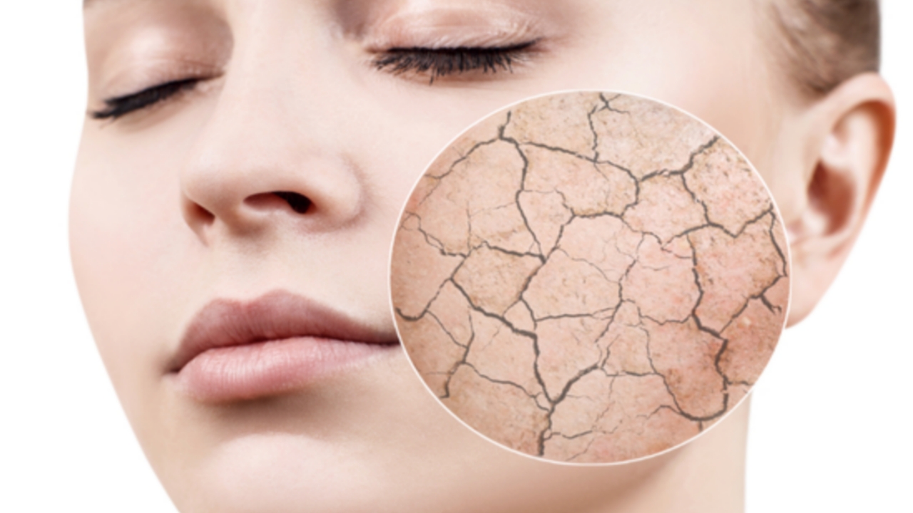 Picsart 23 12 15 09 03 13 780