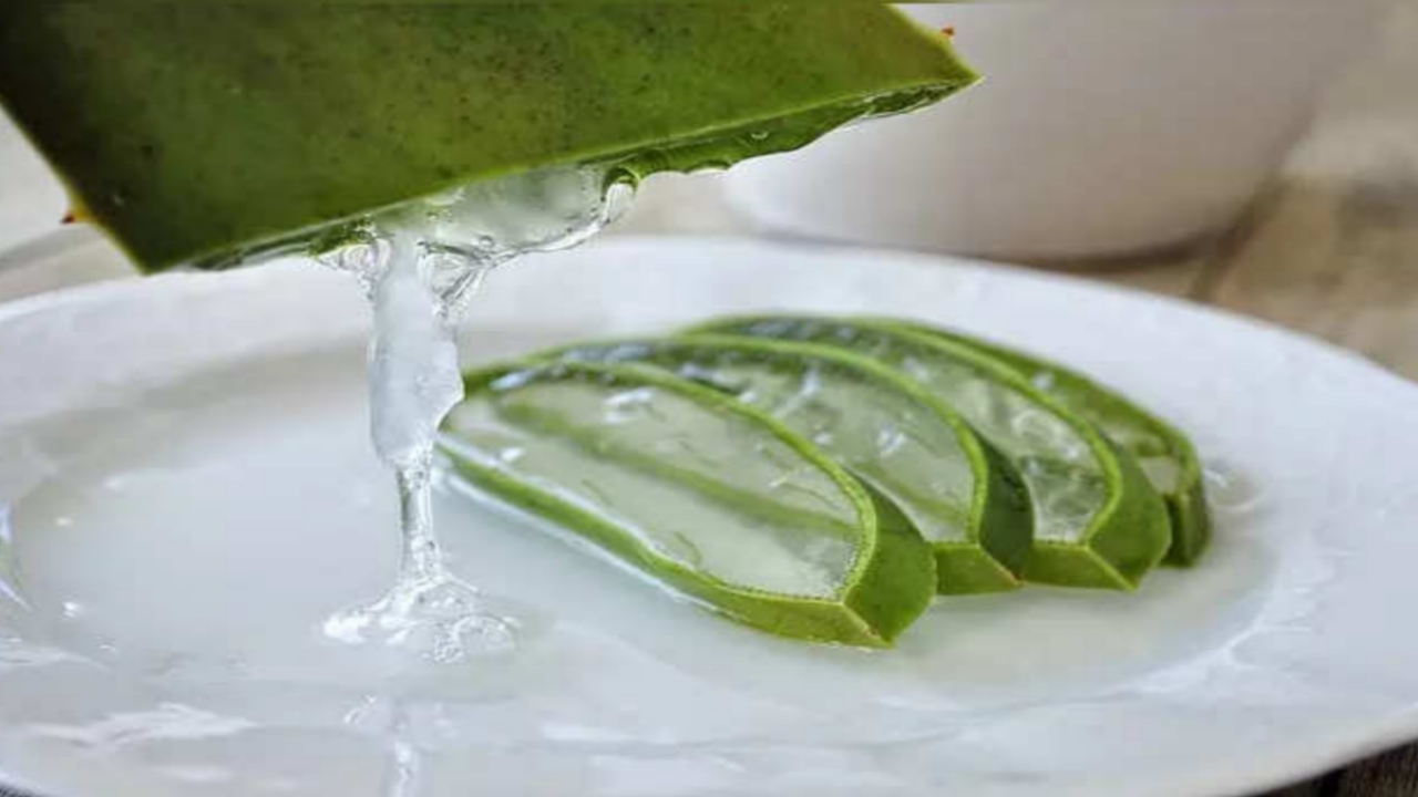 Picsart 23 12 25 09 34 14 251